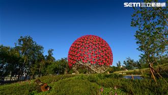 機械花製作過程曝光　網友看到哭了！