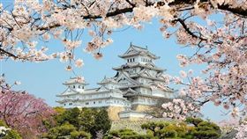 鑽石公主號(業配)