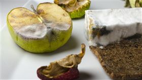 過期品,發霉,／翻攝自Pixabay