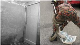 馬來西亞,祈禱室,眼鏡蛇,纏繞(圖/翻攝自中國報)