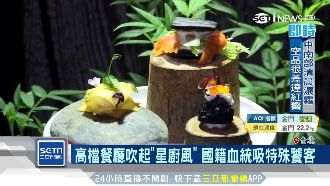 高檔餐廳星廚風！國籍血統吸特殊饕客