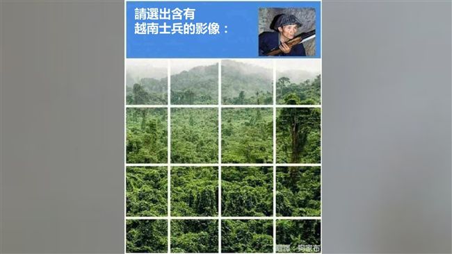 圖片驗證超荒謬　這張圖讓網友崩潰！