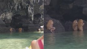 海邊驚見半人半猿　伴詭異笛聲嚇遊客（圖／翻攝自Jemayel Khawaja臉書）