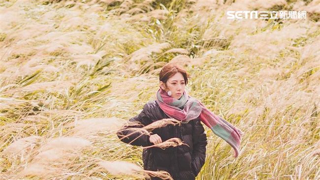 存！秋天必備仙氣　新北芒草美拍攻略