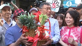 呼應選號！柯選前之夜敲定四四南村