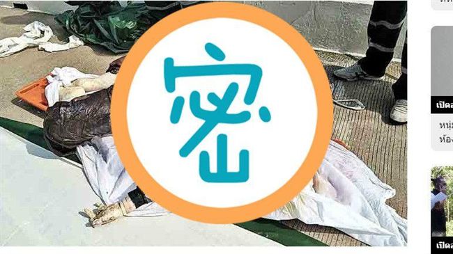 海面驚現浮屍　被啃到只剩「骷顱頭」