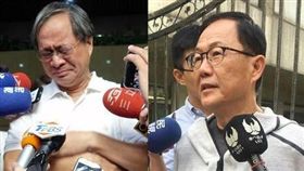 丁守中 小野 （圖／中央社）