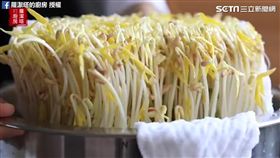 經六天照顧，綠豆變身完美豆芽。（圖／蘿潔塔的廚房臉書授權）