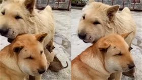  美甲師抱怨客人怒PO文　女客「側面照」逆轉風向（圖／臉書）