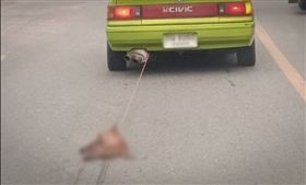 ▲開車拖行狗遺體網怒：比鞭屍還殘忍（圖／翻攝自泰國網臉書）