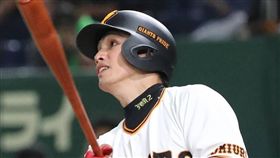 陽岱鋼猛打賞。（圖／翻攝自巨人推特）