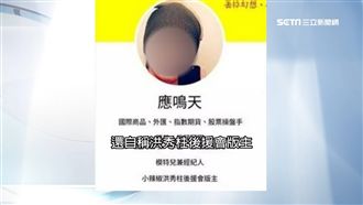 貼文狂打綠營　應鳴天遭疑大陸網軍