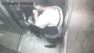 電梯蜘蛛狼幫抓蜘蛛　女子秀髮遭摸舔