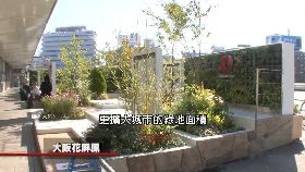 日怎抗陸霾2000