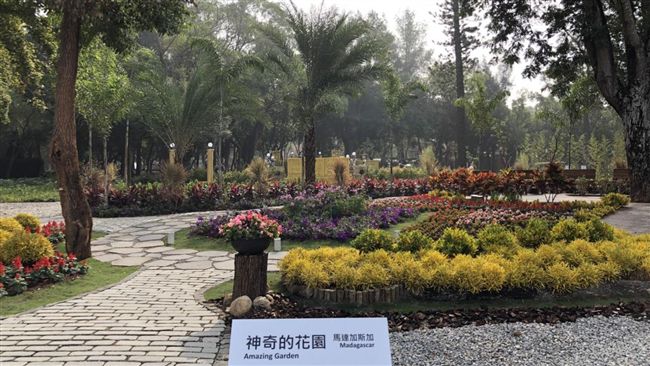 花博參展國家國旗　中市府前輪掛迎客