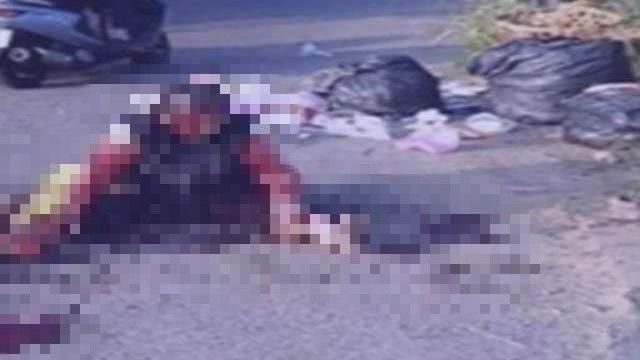 老阿嬤慘遭6狗追咬　頭皮右耳遭咬爛