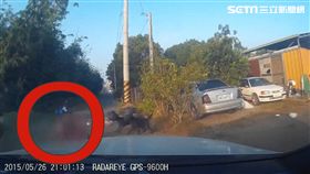 黑狗,攻擊,工寮,行車記錄器,雨傘,驅趕