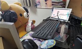 光棍節　翻攝自推特