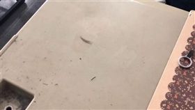 睡覺,眉筆,拓印,眉毛,Dcard　圖／翻攝自Dcard