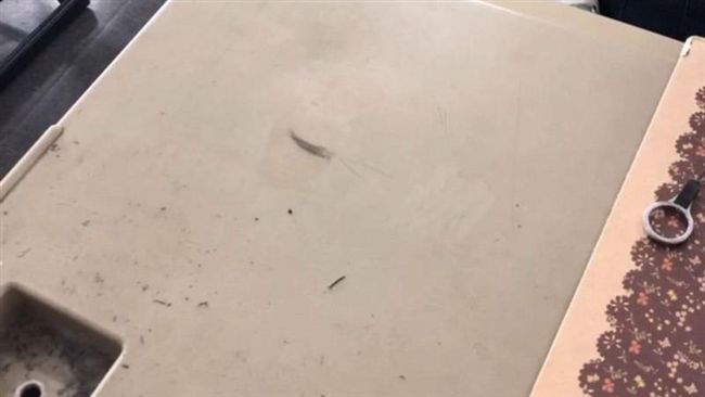 她曝最強「睡覺」技能　網友看完笑噴