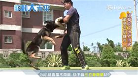 警犬訓練師