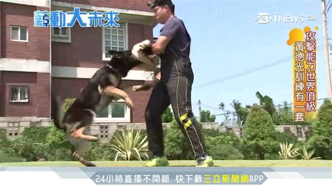 「全亞洲唯一」　邵秀蘭訓犬戰功彪炳