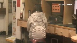 酒店妹餓死2歲兒　小媽媽窮到睡超商