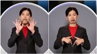 手語老師超搶鏡　「蜂蜜檸檬」都能比