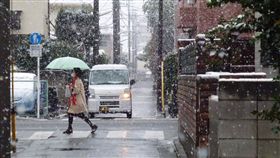 東京,下雪,初雪,11月雪　圖／中央社