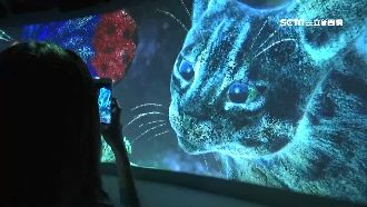 大甲溪當主軸！花博發現館體驗山海