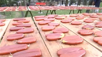 竹北烏魚文化節　踩街遊行熱鬧登場