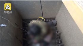  圖／翻攝自梨視頻