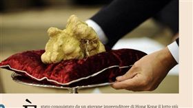 義大利,白松露,罕見,慈善拍賣,高價（圖／翻攝自Il Sole 24 Ore）