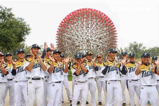 中市成棒隊穿石虎球衣逛花博 日籍球員讚「很有歷史味道」(圖/台中市政府提供)