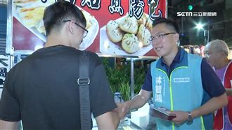 大綠、小綠競爭　綠營新人拚議員苦戰