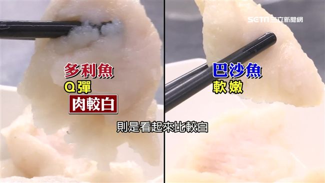 價差4倍 多利魚口感q彈又偏白巴沙魚煮熟後較暗 軟嫩 生活 三立新聞網setn Com