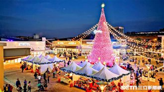 桃園飄雪了！18米高粉紅耶誕樹登場