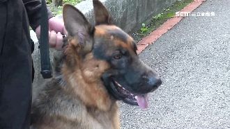 故宮最神祕單位！「警犬隊」出任務