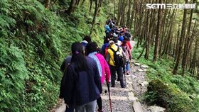 力麗觀光,觀光市場,神木