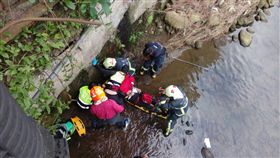 新北,新店,失智,老婦,失蹤,五重溪橋（圖／翻攝畫面）