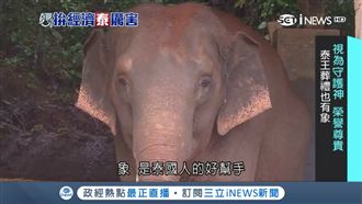 另闢發財之道！泰研發「象屎咖啡」