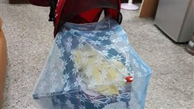 蚊蟲,桌罩,剩菜罩,古早味,驅蚊(圖/翻攝自爆怨公社)