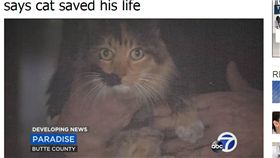 「牠救了我一命！」加州野火肆虐　老爺爺堅持救貓逃過死劫　圖／翻攝自ａｂｃ３０