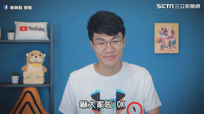 蟑螂死亡會翻肚　網紅冷知識解密真相