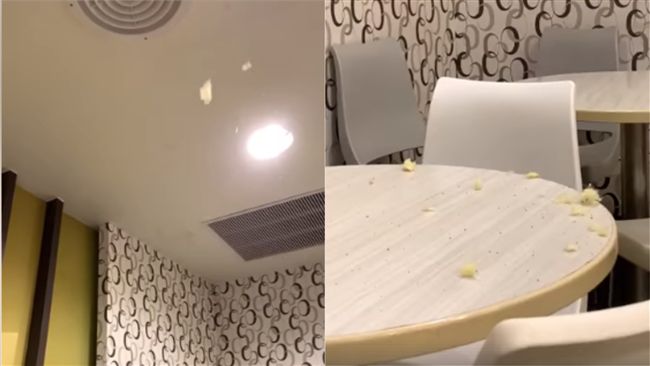 麥當勞內雪花隨風飄　竟是老鼠在加料