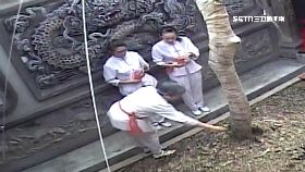 F亂摘靈樹葉1200