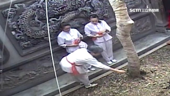 靈樹「一摸除百病」！3婦竟擅闖拔葉