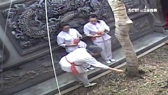 靈樹「一摸除百病」！3婦竟擅闖拔葉
