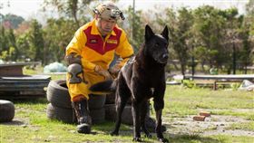 新北,消防署,特搜隊,搜救犬,退役,除役,認養（圖／翻攝畫面）