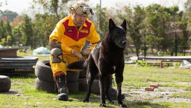 5搜救犬退役　開放民眾認養